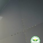Lixeira aço condomínio calçada