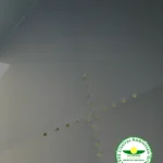 Abaulada 2,00M 2T - imagem 9